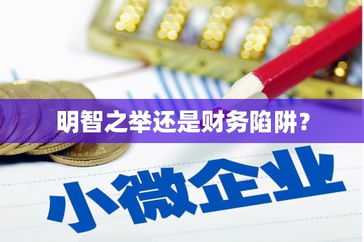 徐水明智之举还是财务陷阱？