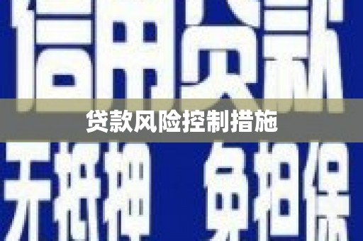 成武贷款风险控制措施