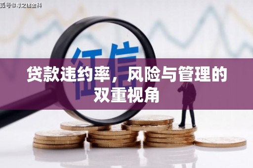 平湖贷款违约率，风险与管理的双重视角