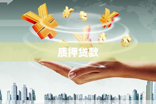 新会质押贷款