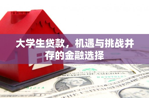 沙洋大学生贷款，机遇与挑战并存的金融选择