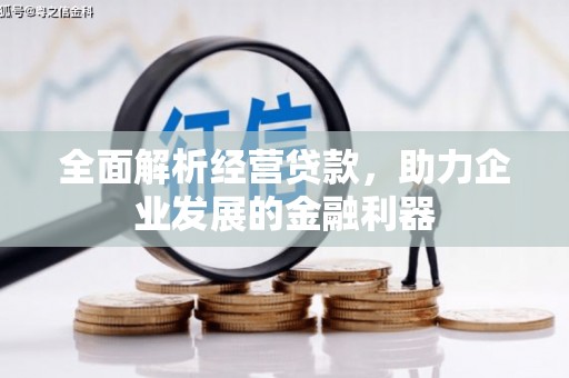 双溪全面解析经营贷款，助力企业发展的金融利器