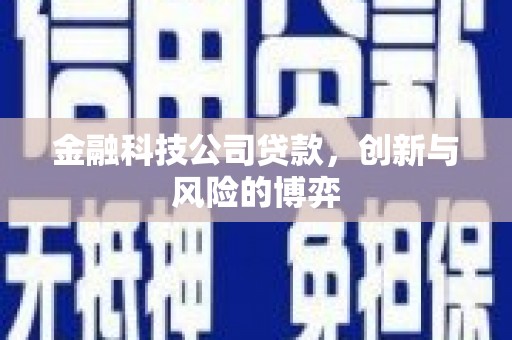 镇平金融科技公司贷款，创新与风险的博弈