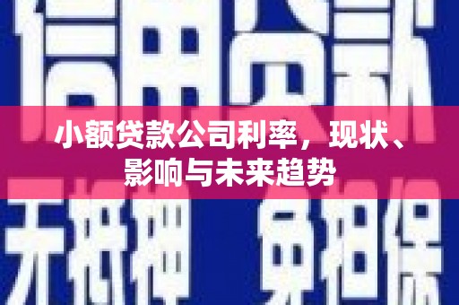 达拉特旗小额贷款公司利率，现状、影响与未来趋势