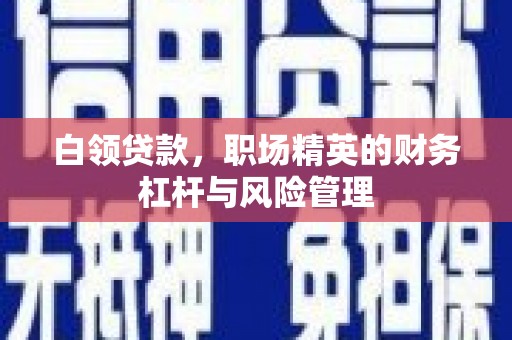 暖暖白领贷款，职场精英的财务杠杆与风险管理