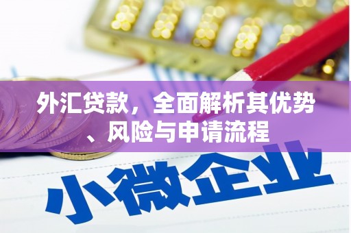 保税港区外汇贷款，全面解析其优势、风险与申请流程