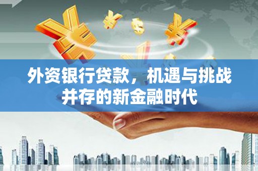 南海外资银行贷款，机遇与挑战并存的新金融时代