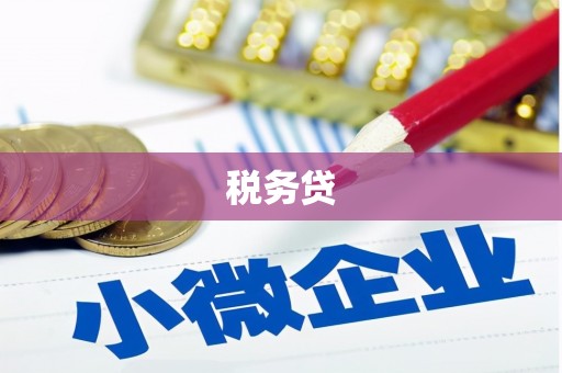汉源税务贷