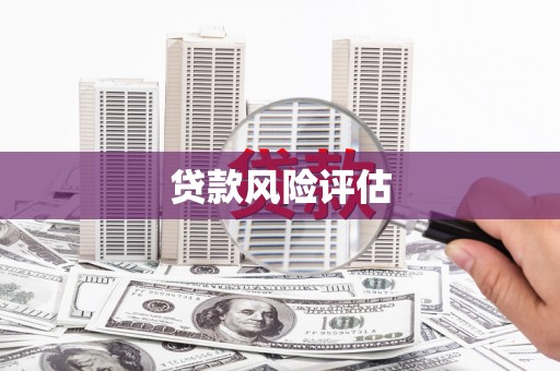 邓州贷款风险评估