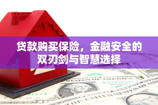 盐津贷款购买保险，金融安全的双刃剑与智慧选择