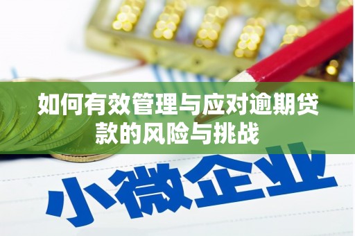 武江如何有效管理与应对逾期贷款的风险与挑战