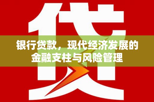 仁寿银行贷款，现代经济发展的金融支柱与风险管理