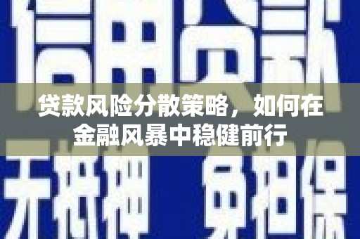 夏县贷款风险分散策略，如何在金融风暴中稳健前行