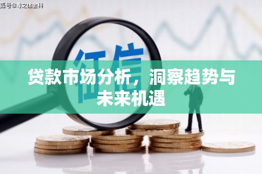 长洲贷款市场分析，洞察趋势与未来机遇