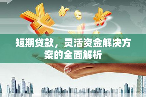 墨江短期贷款，灵活资金解决方案的全面解析