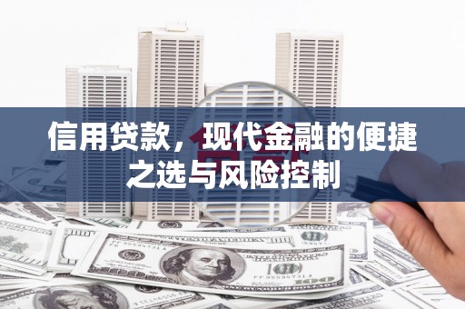 蒲城信用贷款，现代金融的便捷之选与风险控制