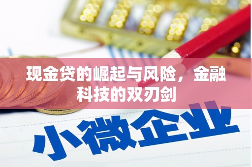 沧源现金贷的崛起与风险，金融科技的双刃剑