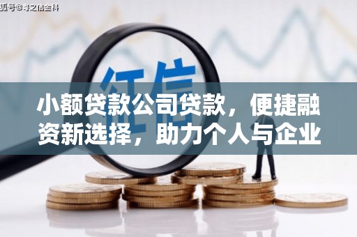 青阳小额贷款公司贷款，便捷融资新选择，助力个人与企业成长