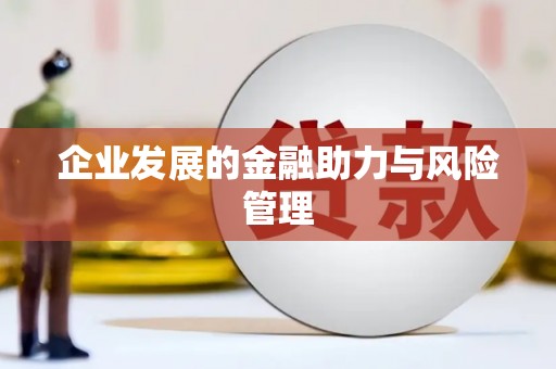 金东企业发展的金融助力与风险管理