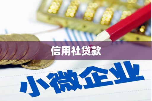 钦州信用社贷款