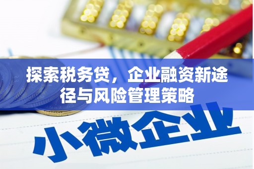 和县探索税务贷，企业融资新途径与风险管理策略