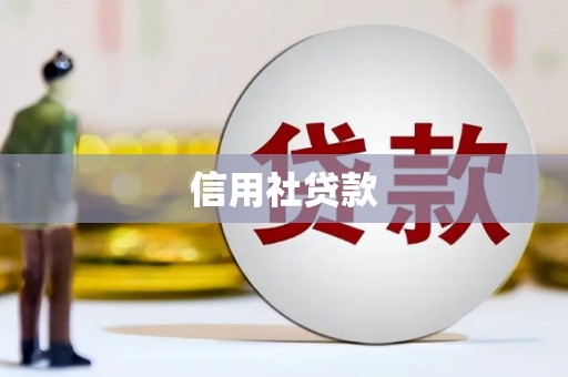 伊犁哈萨克信用社贷款
