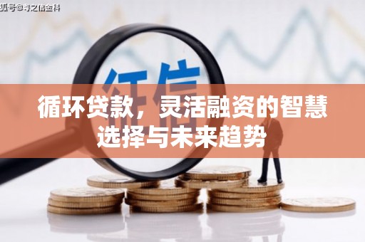 仁布循环贷款，灵活融资的智慧选择与未来趋势
