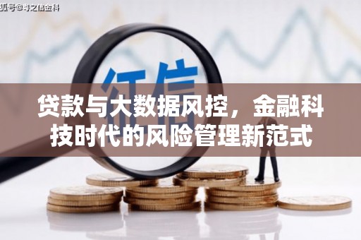 东乡族贷款与大数据风控，金融科技时代的风险管理新范式