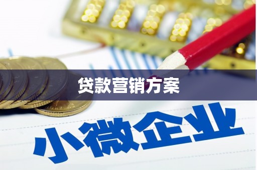 洪雅贷款营销方案