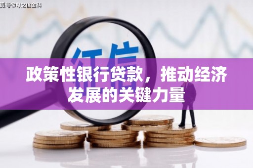 麻城政策性银行贷款，推动经济发展的关键力量