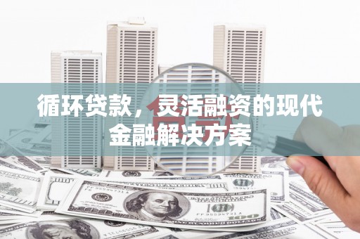 阿里山循环贷款，灵活融资的现代金融解决方案