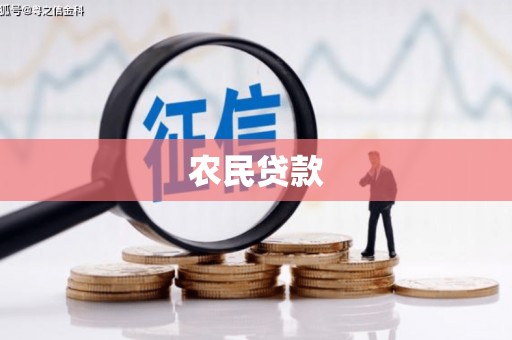 广南农民贷款