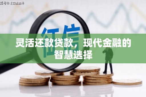 仁怀灵活还款贷款，现代金融的智慧选择