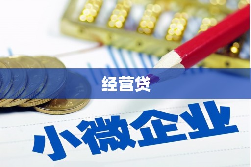 卧龙经营贷