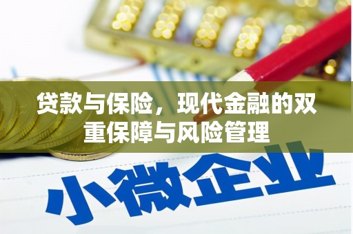 泌阳贷款与保险，现代金融的双重保障与风险管理