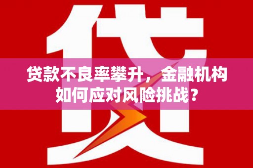 鹤庆贷款不良率攀升，金融机构如何应对风险挑战？