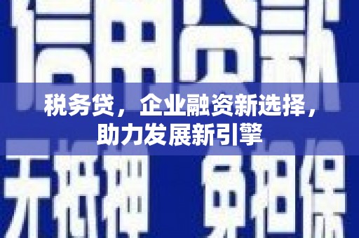大理税务贷，企业融资新选择，助力发展新引擎