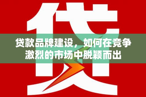 广南贷款品牌建设，如何在竞争激烈的市场中脱颖而出