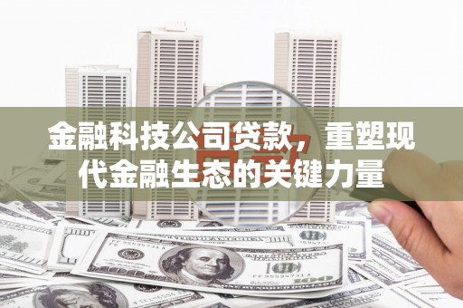 新会金融科技公司贷款，重塑现代金融生态的关键力量