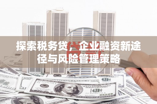 涧西探索税务贷，企业融资新途径与风险管理策略