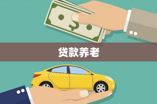 金平贷款养老