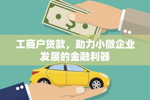 普湾新区工商户贷款，助力小微企业发展的金融利器