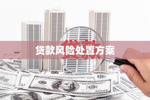杨陵贷款风险处置方案
