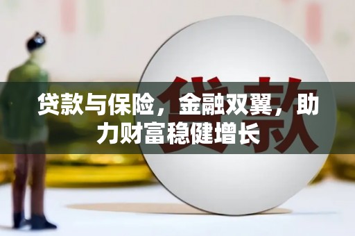 新民贷款与保险，金融双翼，助力财富稳健增长
