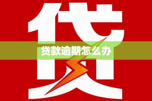安南贷款逾期怎么办