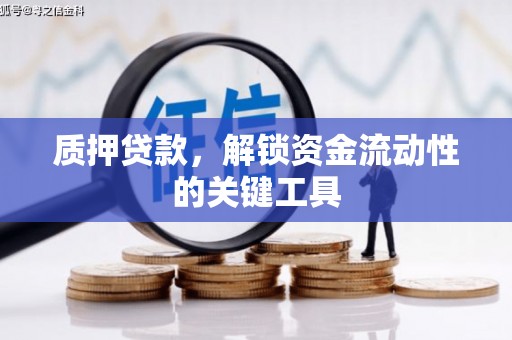安定质押贷款，解锁资金流动性的关键工具