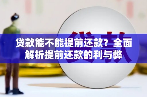 邵阳县贷款能不能提前还款？全面解析提前还款的利与弊