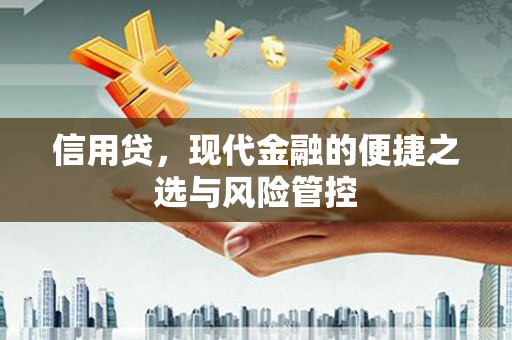 新沂信用贷，现代金融的便捷之选与风险管控