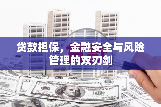 学甲贷款担保，金融安全与风险管理的双刃剑