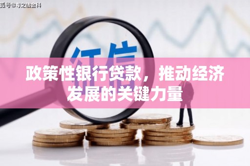 苏澳政策性银行贷款，推动经济发展的关键力量